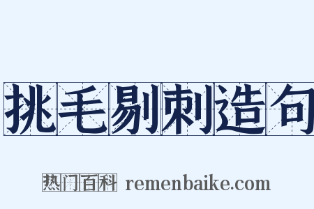 挑毛剔刺造句是什么意思的图片